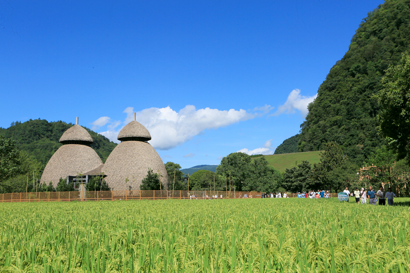張家界黃龍洞：農(nóng)旅融合生態(tài)美，田園風光引客來
