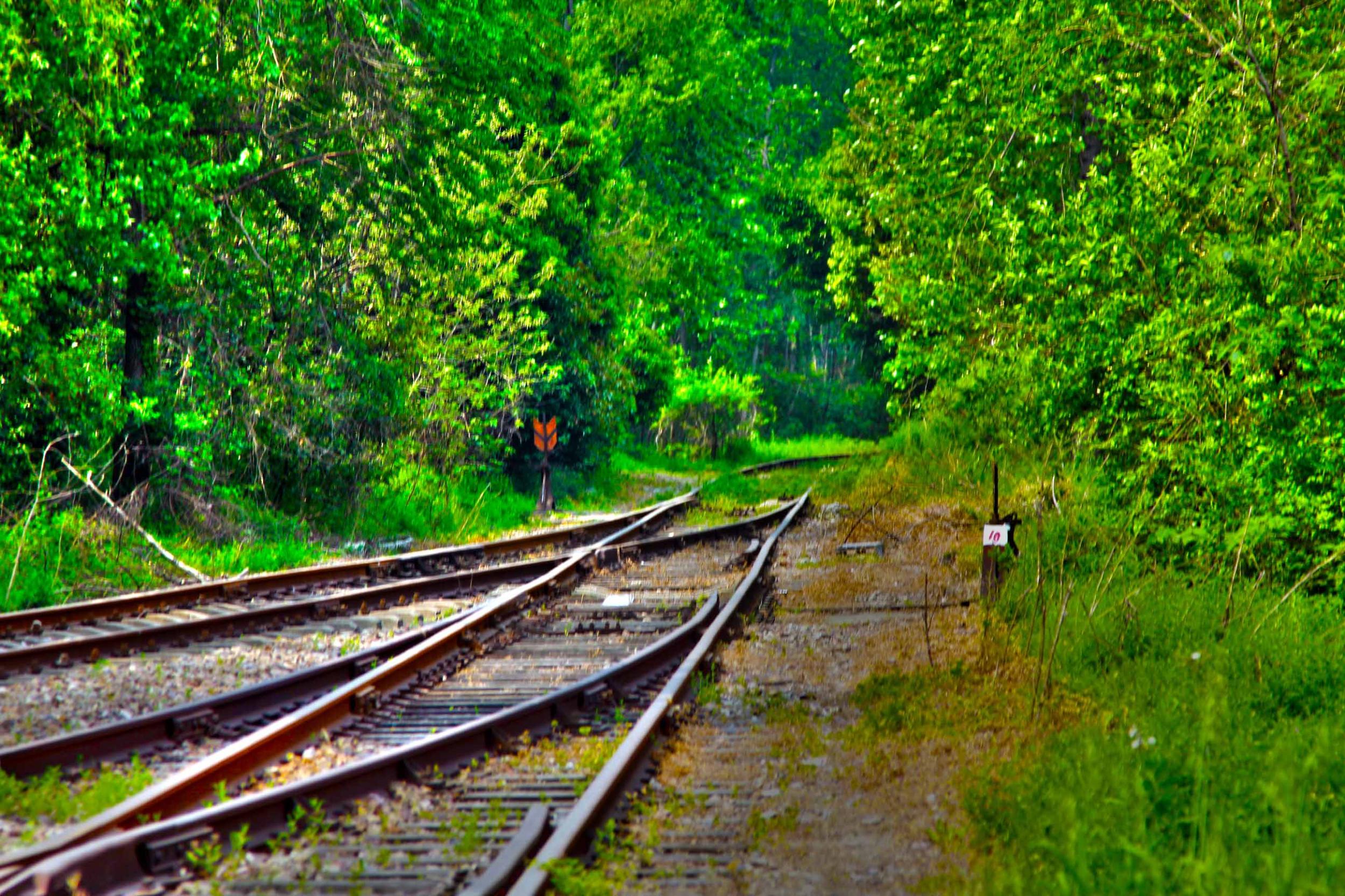 我省今年年內(nèi)有4條鐵路線投入運營更多出行選擇！