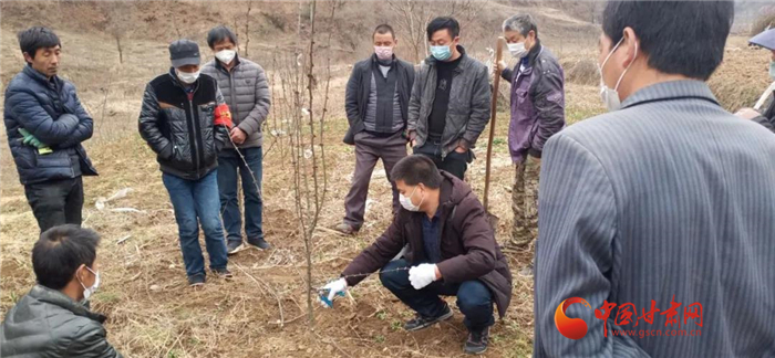 【甘肅全民戰(zhàn)“疫”】隴南徽縣：花椒田里培訓(xùn)忙，戰(zhàn)疫春耕兩不誤