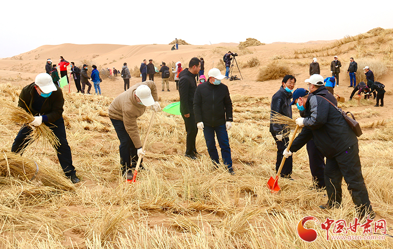 不“疫”樣的植樹(shù)節(jié)！甘肅省新聞戰(zhàn)線工作者攜手播綠“八步沙”（圖+視頻）