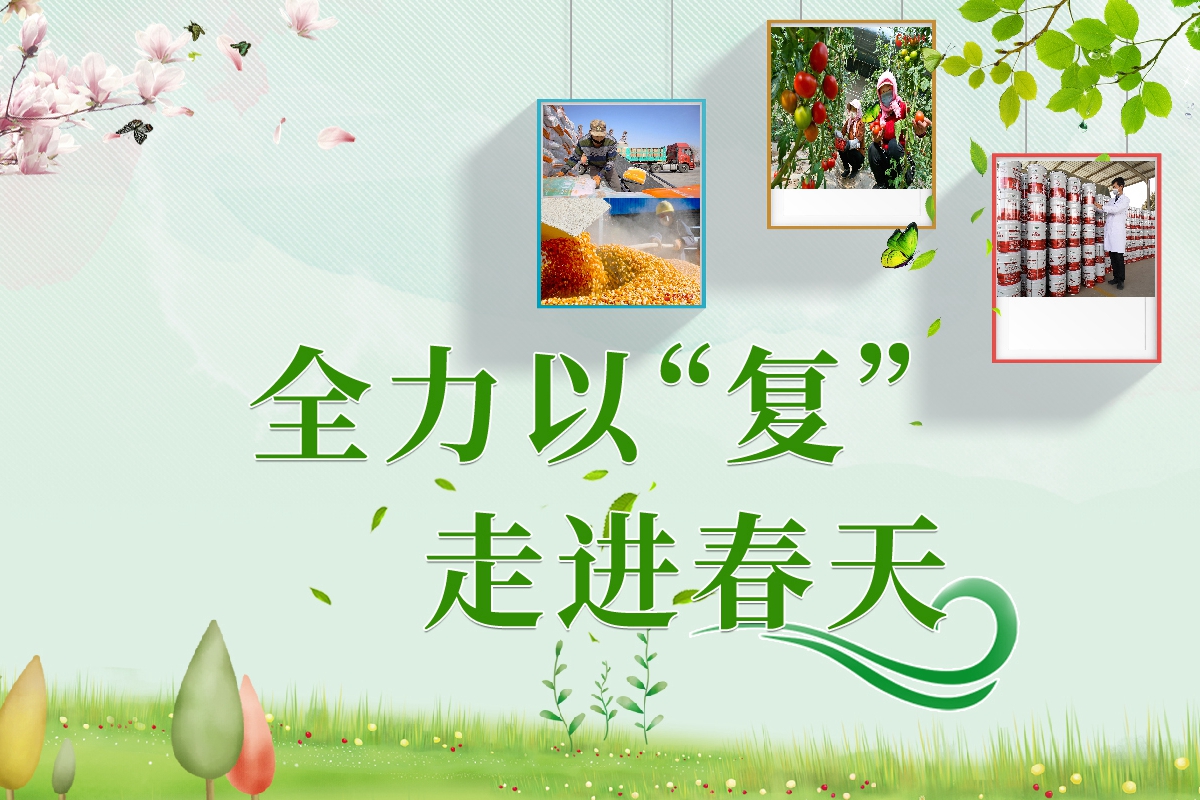 長(zhǎng)圖|全力以“復(fù)”！甘肅走進(jìn)春天里  