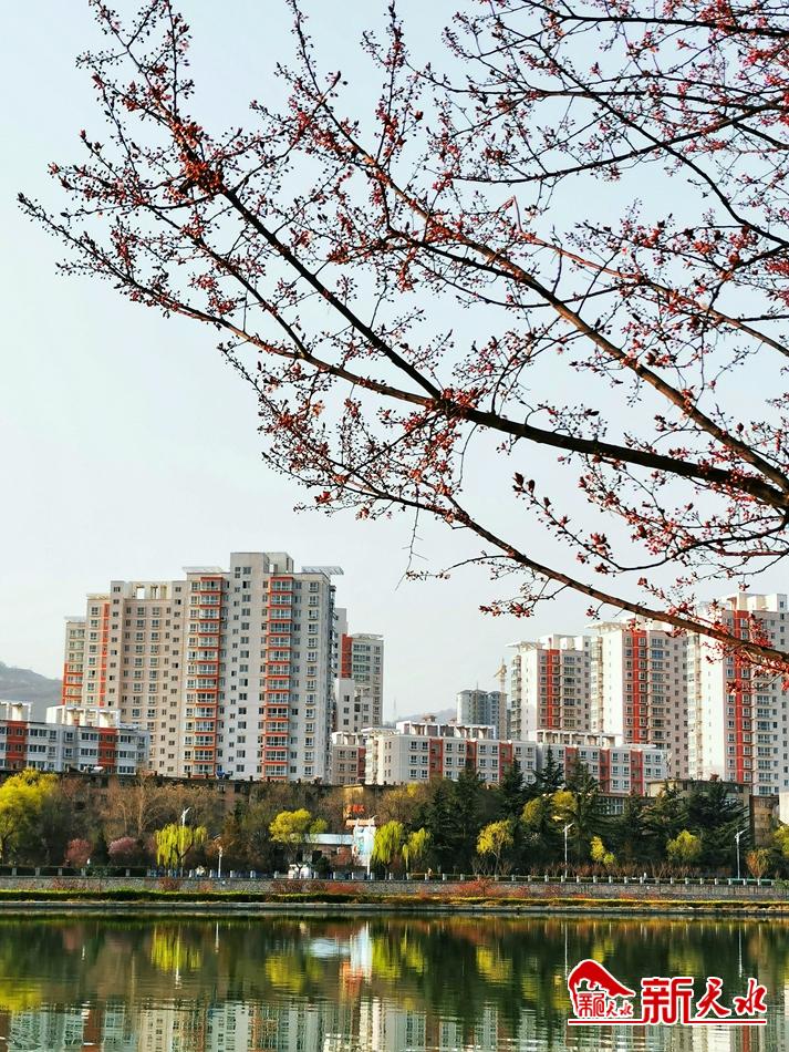 春天，古城天水的十個(gè)美麗瞬間