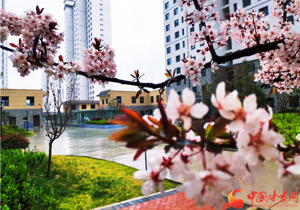 【決戰(zhàn)決勝脫貧攻堅】全省易地扶貧搬遷取得明顯成效 “十三五”49.9萬建檔立卡貧困人口全部實現搬遷入住