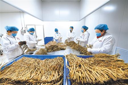 甘肅省下達兩千萬元扶持農民合作社規(guī)范提升