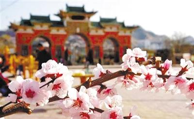 春暖花開(kāi)旅游季丨春紅正當(dāng)時(shí) 賞花好時(shí)節(jié)