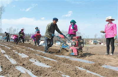臨夏州積石山縣寨子溝鄉(xiāng)青豐中藥材農(nóng)民專(zhuān)業(yè)合作帶動(dòng)周邊群眾增收致富