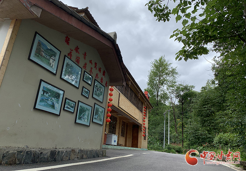 【走向我們的小康生活】村美、業(yè)興、民富……康縣何家莊描繪鄉(xiāng)村振興新畫卷（圖）