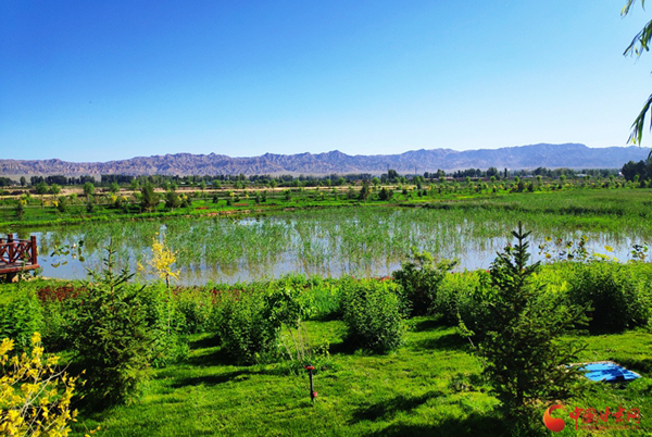 【跟著總書記看甘肅】張掖山丹：生態(tài)治理見(jiàn)成效 水潤(rùn)丹城惠民生