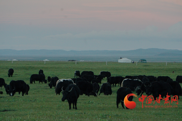 【蘭大新聞學子重走西北角】甘南牧區(qū)：保護好生態(tài) 讓子孫后代也享受綠水青山  