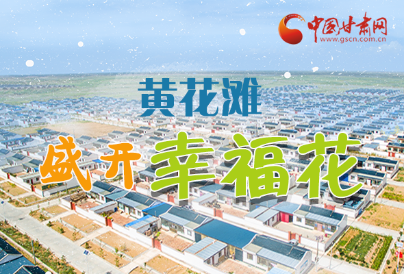 【跟著總書記看甘肅】長圖|武威黃花灘盛開幸?；?