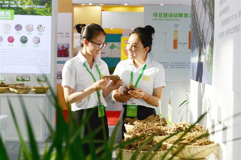 定西，從“千年藥鄉(xiāng)”邁向“中國(guó)藥都”