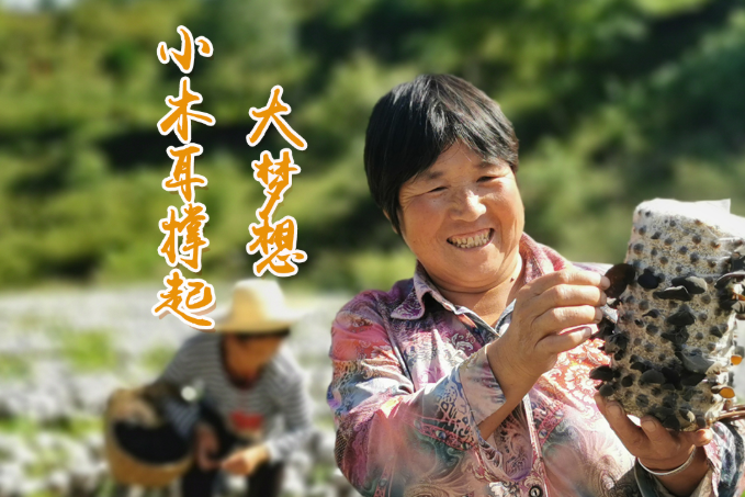 海報(bào)丨他們，乘“豐”破浪！