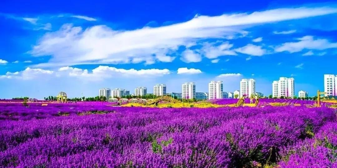 喜訊！金昌蟬聯(lián)全國(guó)文明城市