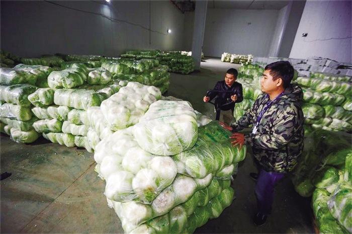 蘭州市已儲備1萬噸冬春蔬菜以耐貯存、易周轉(zhuǎn)品種為主