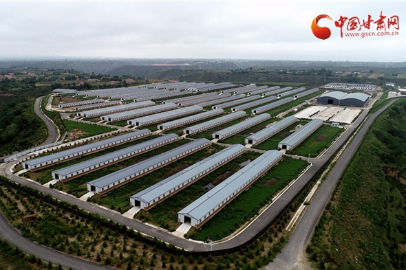 【擔(dān)使命 聚同心 促巨變 省直部門落實脫貧攻堅責(zé)任工作紀實】甘肅：綜合協(xié)調(diào)聚合力 堅持嚴把精準退出關(guān)