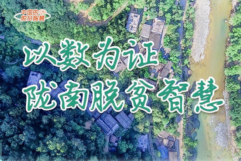 【中國(guó)的脫貧智慧】以數(shù)為證！隴南脫貧智慧來(lái)了！