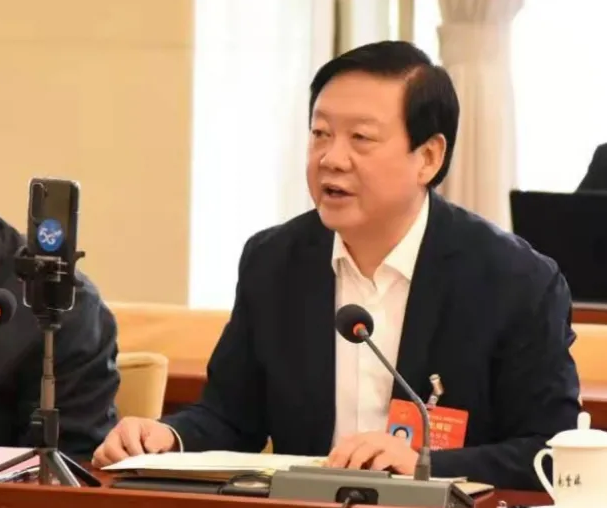 【聚焦2021全國兩會】全國人大代表、市委書記楊維俊接受中國日報記者采訪