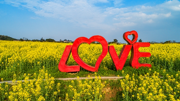 “l(fā)ove”創(chuàng)意拍照墻。廖濤 攝