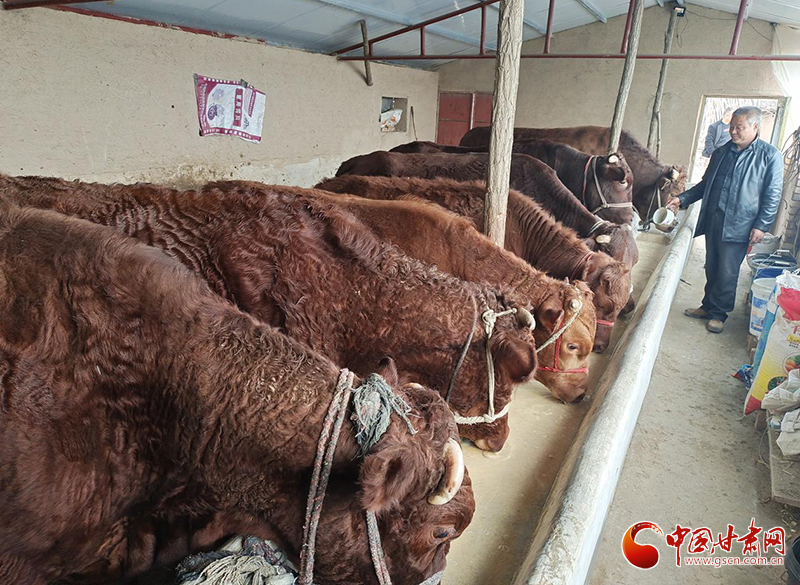 平?jīng)鰶艽ǎ骸芭！碑a(chǎn)業(yè)鋪就致富路