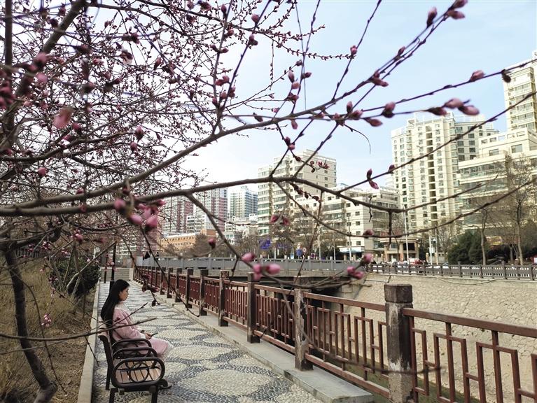 蘭州“第一朵花”開了！