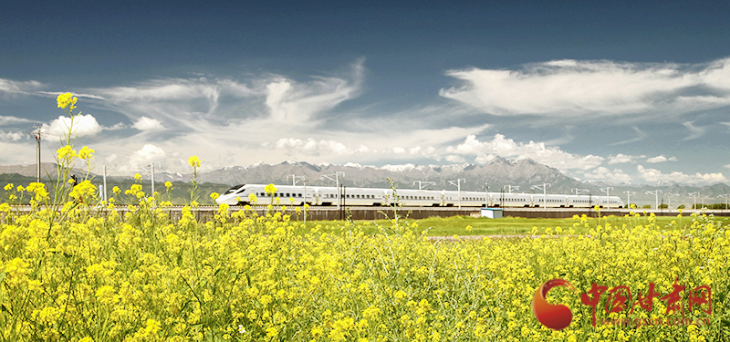 坐上火車“邂逅”春天，你可以這樣享“鐵路游”