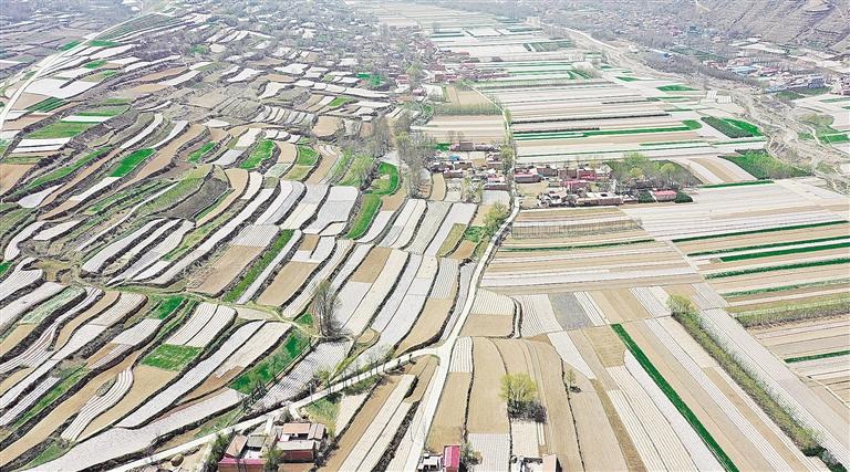 臨夏州康樂縣因地制宜引導農民大力發(fā)展以全膜雙壟溝播技術為主的旱作農業(yè)