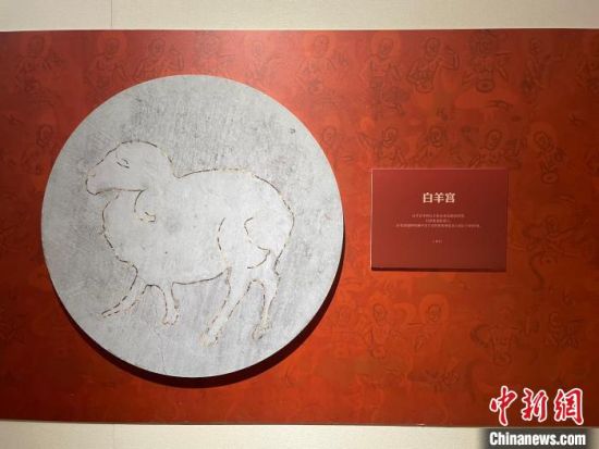 圖為展覽現(xiàn)場(chǎng)?！〗瓧顭?攝