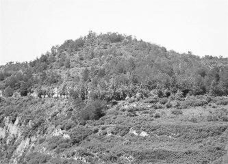 歷史眼丨張果老是正寧人？他與甘肅福緣不淺