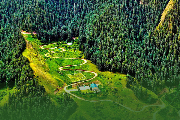 海報(bào)|祁連山保護(hù)區(qū)生態(tài)環(huán)境問(wèn)題整改全面完成！