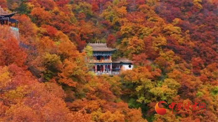 【甘肅省“100系列”獻(xiàn)禮建黨百年】物華天寶潤(rùn)隴原·蘭州榆中捧出詩(shī)畫(huà)田園 引青海游客入甘樂(lè)享鄉(xiāng)村之旅