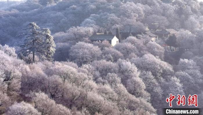圖為霧凇美景。　徐振華 攝