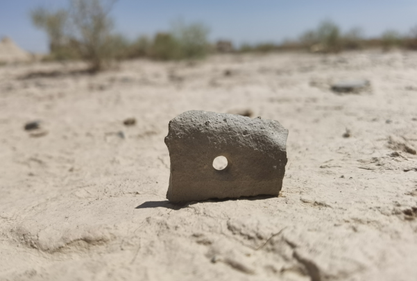 插圖1：河西走廊上遺存的古陶片。攝影：陳曉斌。拍攝日期：2020年6月。