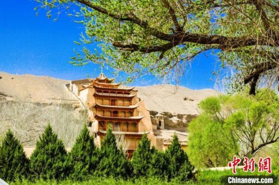 4月的敦煌莫高窟景區(qū)春意盎然。(資料圖) 王斌銀 攝