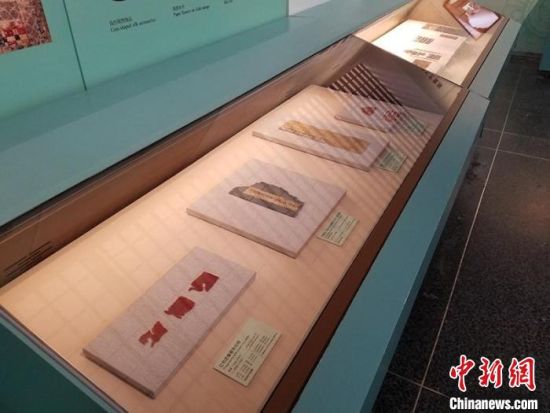 圖為展覽現(xiàn)場(chǎng)?！《鼗脱芯吭汗﹫D