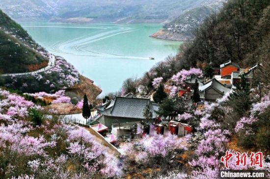 甘肅平涼市是中國優(yōu)秀旅游城市。圖為平涼崆峒山下十里桃花盛開。(資料圖) 平涼市委宣傳部供圖