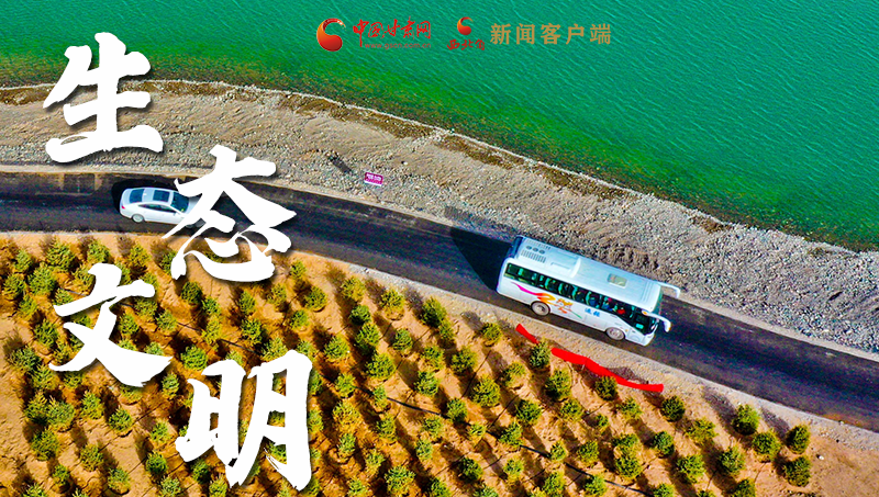 彈幕海報丨熱議甘肅省委十三屆十六次全會 網(wǎng)民聲音在回響！