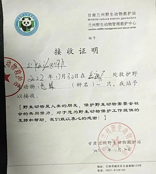 受到救助的池鷺被蘭州野生動(dòng)物保護(hù)站接收。（蘭州市公安局七里河分局供圖）