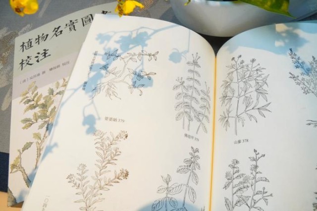 《植物名實(shí)圖考校注》內(nèi)頁。圖片來源：中華書局供圖