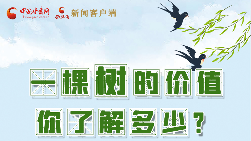 圖解|一棵樹的價值你了解多少?來看！