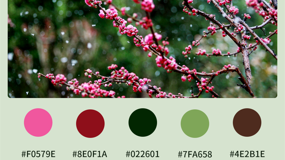 微海報(bào)|收藏！色卡里的春日甘肅