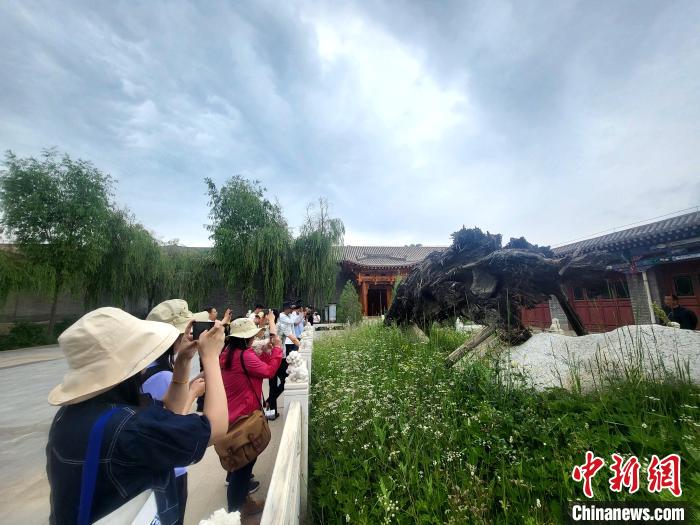 圖為媒體記者在青海永錄民俗參觀采訪?！⊙Φ?攝