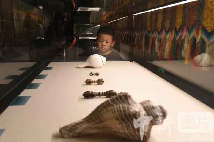 圖為展出的“白海螺法器”吸引小觀眾。 中新社記者 戴文昌 攝