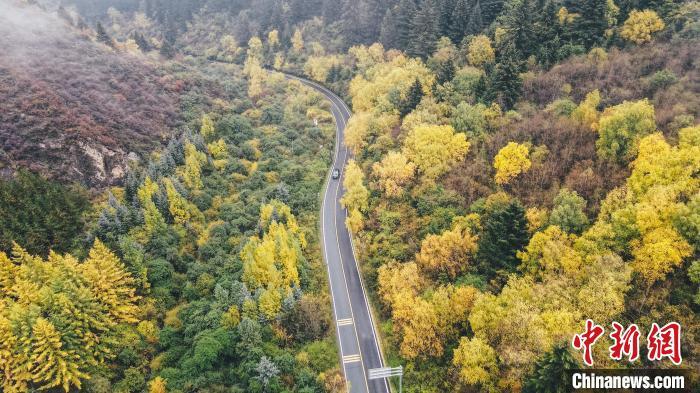 深秋，航拍位于蘭州市榆中縣的興隆山，景色如畫。金峯 攝</p>
<p>