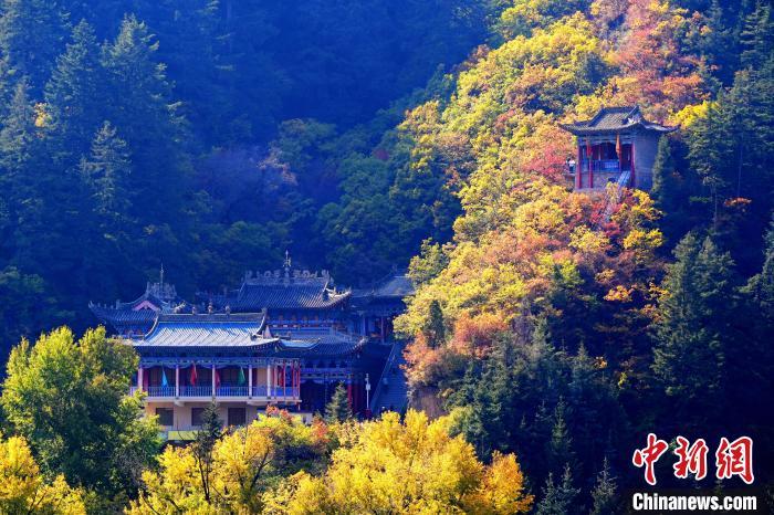 深秋，位于蘭州市榆中縣的興隆山景色如畫。宮衛(wèi)紅 攝