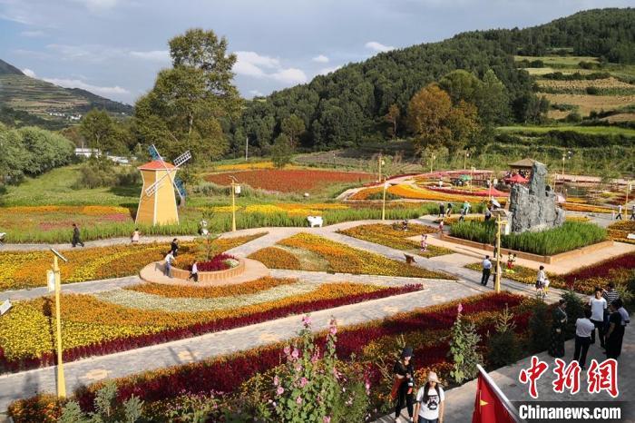 圖為航拍甘肅甘南臨潭縣八角鎮(zhèn)，花海吸引游人。(資料圖)高展 攝