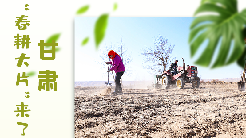 【甘快看】海報|瞧！甘肅“春耕大片”來了