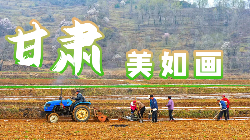 微海報(bào)|甘肅，美如畫(huà)