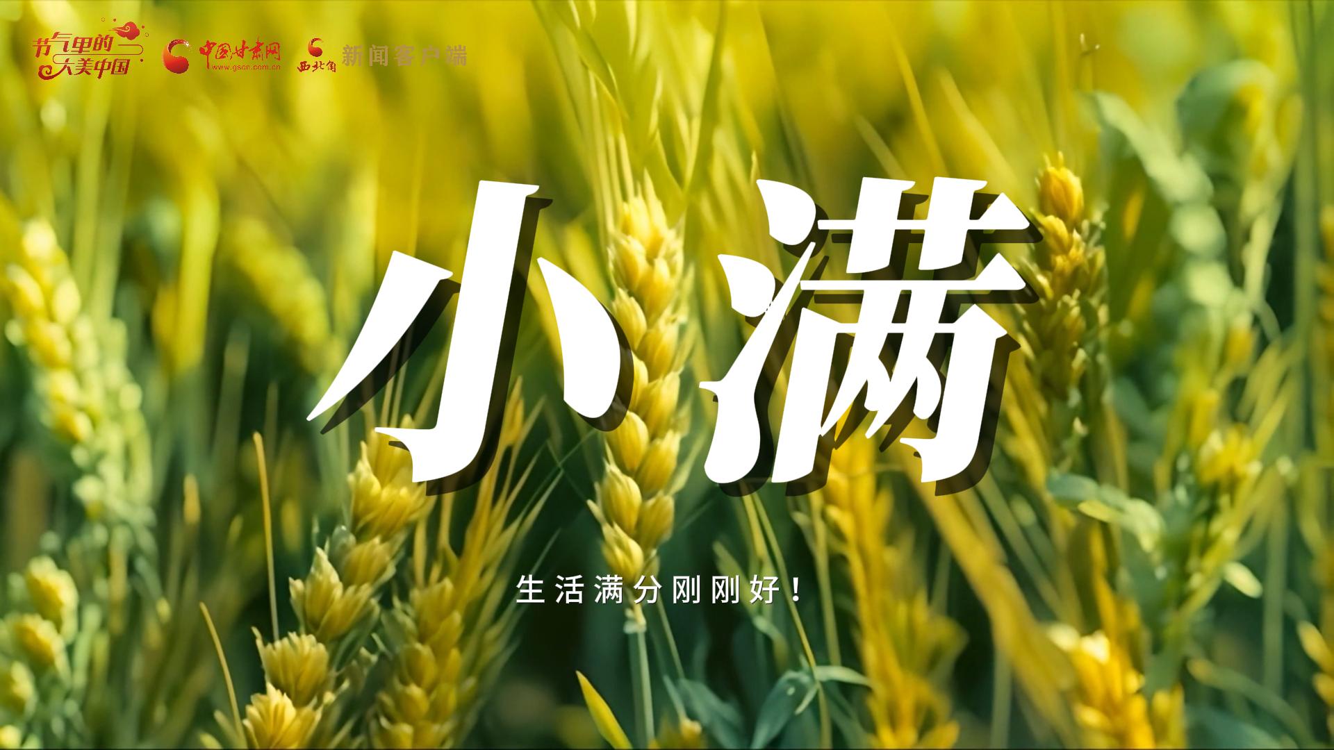 【節(jié)氣里的大美甘肅·小滿】生活滿分剛剛好！