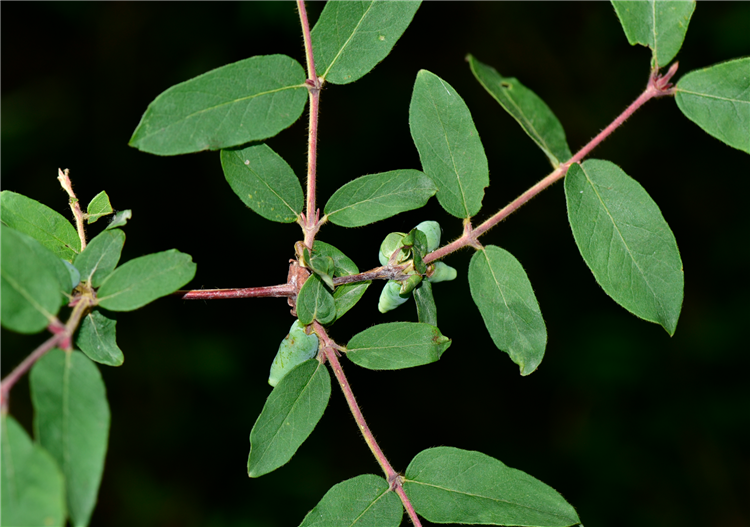 1727681765726786.png 8-2.png