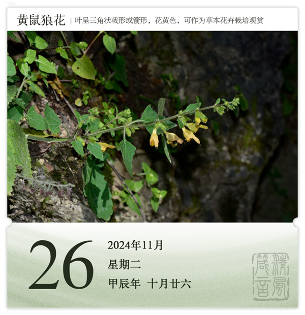 1730190017697039.png 箴歷日歷11-26.png